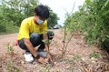 20210526-Tree planting dayt-024